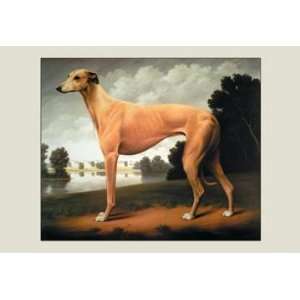   0P2030 Greyhound on a Parkland Landscape 20x30 poster