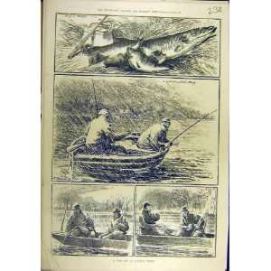   1881 Cold Day Virginia Water Fish Pike Perch Old Print