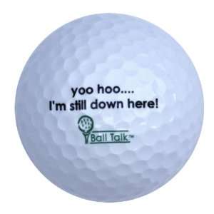  BallTalk Golf Balls   (yoo hoo, Im still down here 