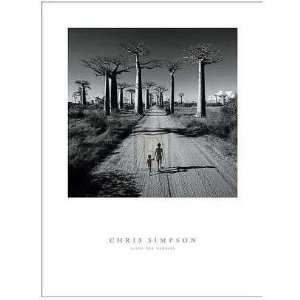  Allee Des Baobabs Poster Print