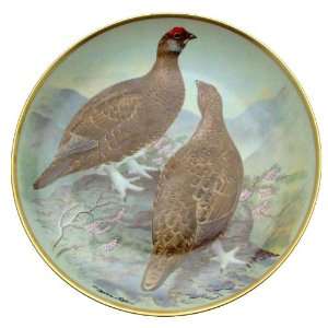   of the World Basil Ede Red Grouse plate CP1888