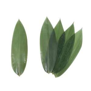  Vacuum Packed Bamboo Leaves (200pcs/pack, 16packs/case 