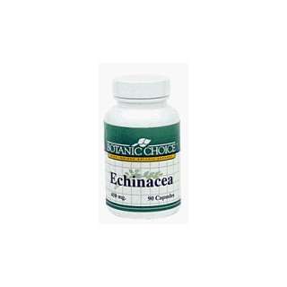  Echinacea