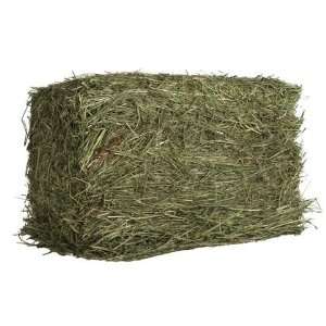  Western Timothy Hay (Quantity of 2) Health & Personal 