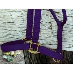 Medium Horse Purple Nylon Halter 