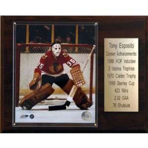  NHL Tony Esposito Chicago Blackhawks Career Stat Plaque 