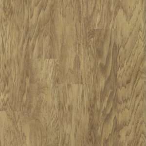 Shaw Floors SL251 276 Plaza Collection 12mm Laminate in 