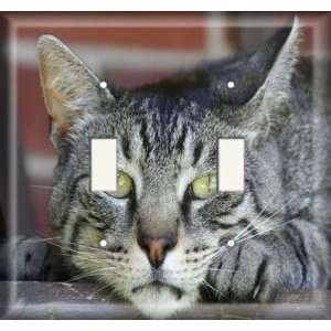  Double Switch Plate   Tired Cat