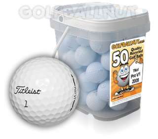 50 NEAR MINT Titleist Pro V1 Used Golf Balls  