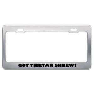  Got Tibetan Shrew? Animals Pets Metal License Plate Frame 