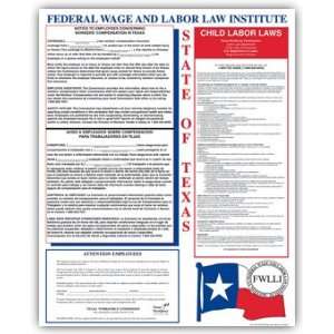  EGP State Labor Law Poster