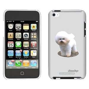  Bichon Frise on iPod Touch 4 Gumdrop Air Shell Case 