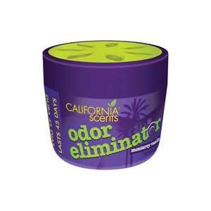 Odor Eliminator, Monterey Vanilla, 5.2 oz, 12 pk