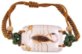 Real Scorpion Lucite Adjustable W/ Nylon Bracelet  