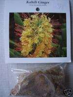 NEW * KAHILI GINGER PLANT,HAWAII PLANT,ROOT CUTTING  