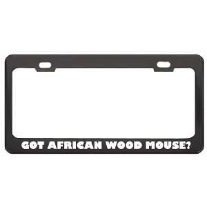Got African Wood Mouse? Animals Pets Black Metal License Plate Frame 
