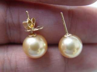 Breathtaking Deep GOLDEN SOUTH SEA Pearl Stud Earrings  