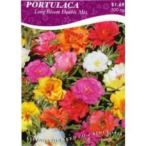  Portulaca   Long Bloom Double Mix Patio, Lawn & Garden