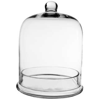 Glass Cloche Bell   11 Glass Plant Terrarium with Cover & Tray  