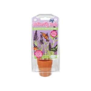  Butterfly Bush Capsule Terrarium Kit w/Seeds Toys & Games