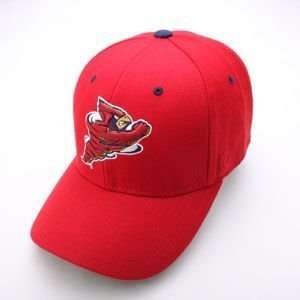 Iowa State Cyclones Team Logo Mascot Fitted Hat (Red)