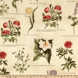    Wide Williamsburg Botanicals Latin Floral Cream Fabric By The Yard