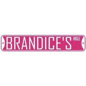   BRANDICE HOLE  STREET SIGN