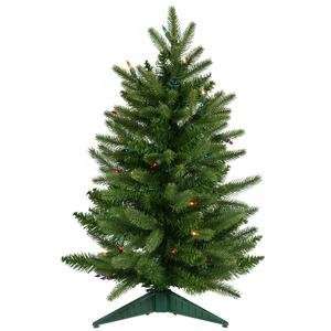  Christmas Tree   Frasier Fir   A890726