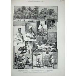  1889 Brazil Alagoas Native Girl Mulatto Fruit Sellers 