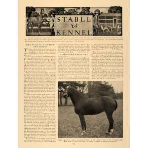 1907 Article Horse Otis Barnum Halsey Pitkin Russia Dog 
