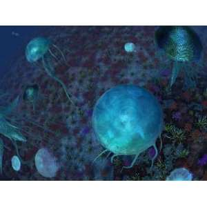  A Swarm of Jellyfish Swim the Panthalassic Ocean 