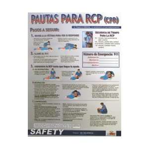  SPPST004   Poster, CPR Guidelines, Spanish, 18 X 24