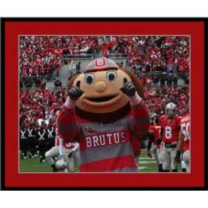  Ohio State Brutus Buckeye Mascot Photo