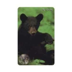  Collectible Phone Card 15u Black Bear (Photo) SPECIMEN 