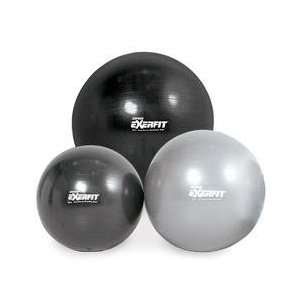  ExerFit™ Anti Burst Stability Balls