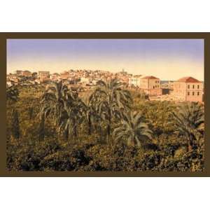  Jaffa Garden 20x30 poster