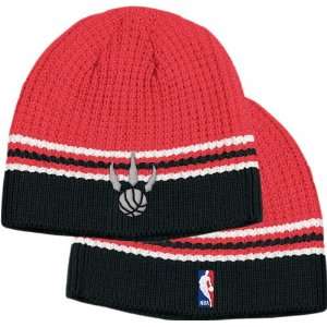  Toronto Raptors Youth Official Team Skully Hat Sports 
