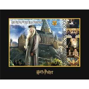  Albus Dumbledore The Witches and Wizards of Harry Potter 
