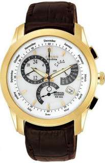 NEW LEATHER STRAPPED CITIZEN ECO DRIVE PERPETUAL CALENDAR ALARM BL8002 