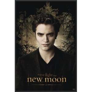  Twilight Moon Edward Robert Pattinson Poster Dry Mounted 
