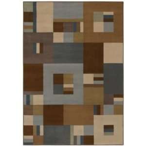  Shaw Rug Newport Collection Toby Pattern 3 11 X 5 4 
