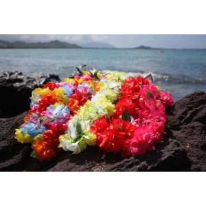  Cattleya / Jasmine Poepoe, Assorted, 6 Pack 18   Hawaii 