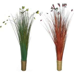  Star Flower Grass   2 Pack with 2 Assorted Colors