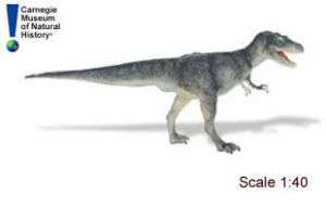 ALBERTOSAURUS; toy/dinosaur/Carnegie/Safari Ltd  