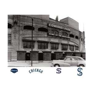  MLB Chicago White Sox Comiskey Park Historic Mural Wall 