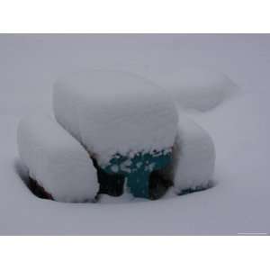  Twelve Inches of Snow Cover a Plastic Table, Chevy Chase, Maryland 
