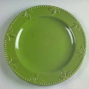   Sorrento Oregano (Green) Dinner Plate, Fine China Dinnerware Kitchen