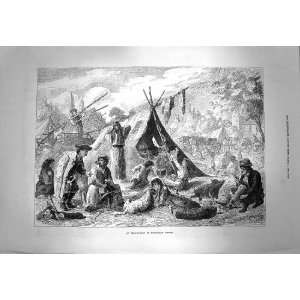  1873 Encampment Hungarian Gipsies Tents Dog Pigs