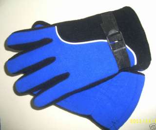 2012 NEW Winter Snow Warm flocking colors to choose Gloves gloves 