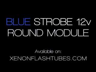 12v BLUE Strobe round flashing CAR PARTY warning LIGHT  
